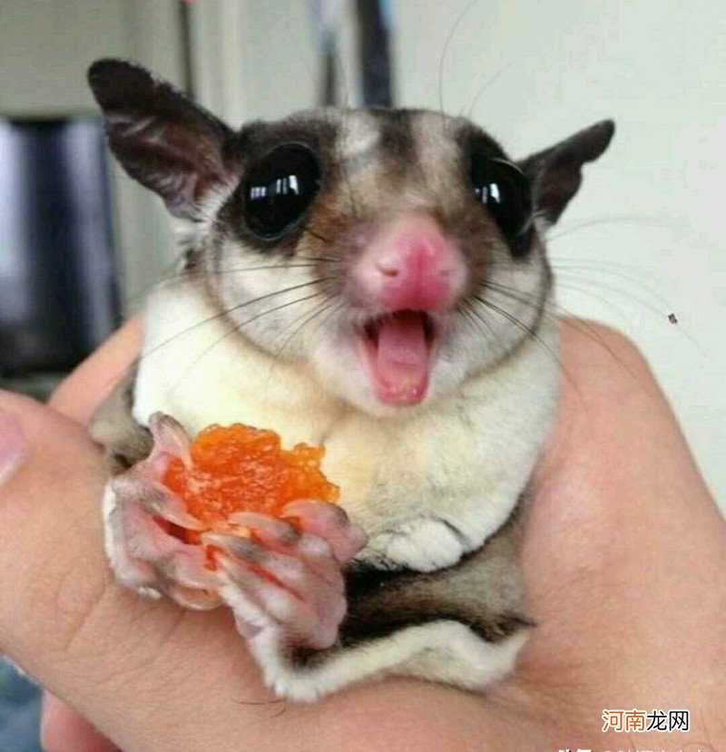 人体是大自然最为精妙的杰作 qq人体艺术写真