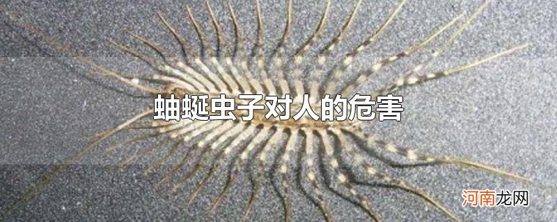 蚰蜒虫子对人的危害