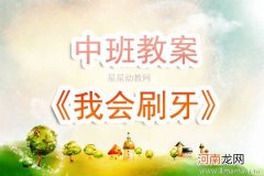 中班语言活动童话—花脸虎的喷嚏教案反思