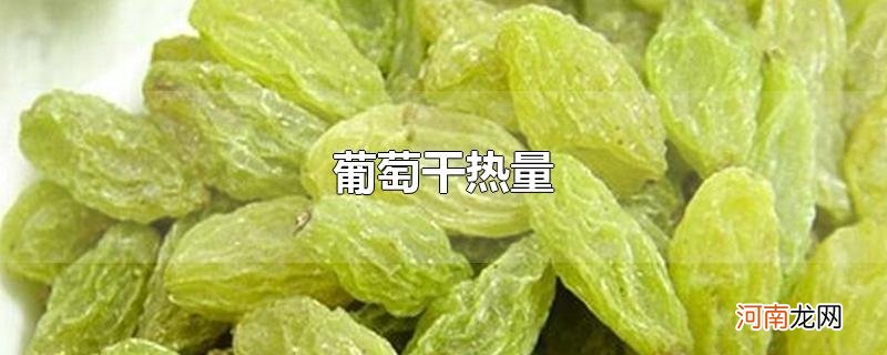 葡萄干热量