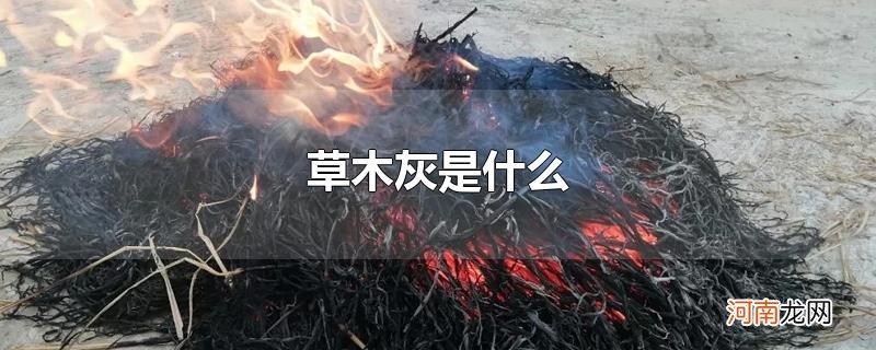 草木灰是什么