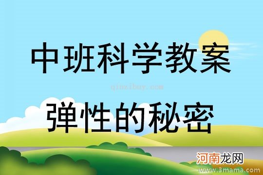 中班科学活动弹性的秘密教案反思