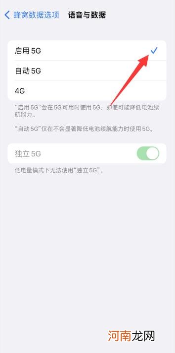 为什么苹果13没有5g开关优质