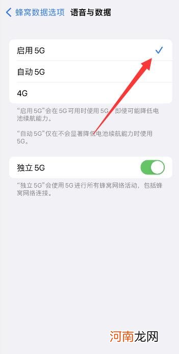 苹果13设置自动5G一直显示4G优质