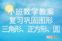 小班数学活动复习图形教案反思