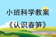 小班数学活动认一认教案反思