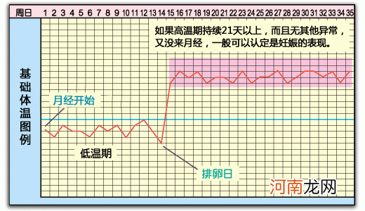 详析各种基础体温曲线图