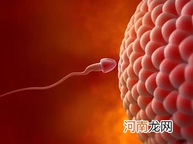 五种女性怀孕需检查卵子质量