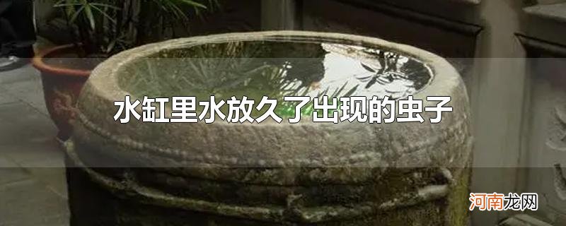 水缸里水放久了出现的虫子