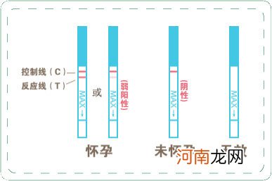 图 手把手教你用排卵、早孕试纸