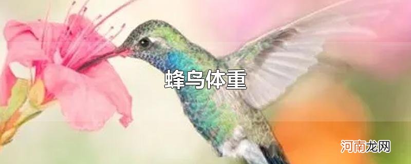 蜂鸟体重