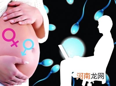 生男生女究竟由什么来决定