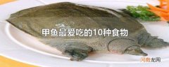 甲鱼最爱吃的10种食物