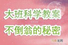 中班科学活动不倒翁教案反思