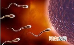 精子成活率低 怎么一次性受孕