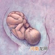 掌握排卵期 可选胎儿性别