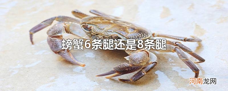 螃蟹6条腿还是8条腿