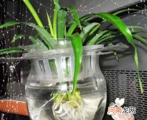 自制塑料花盆过程 自制塑料花盆方法及图片