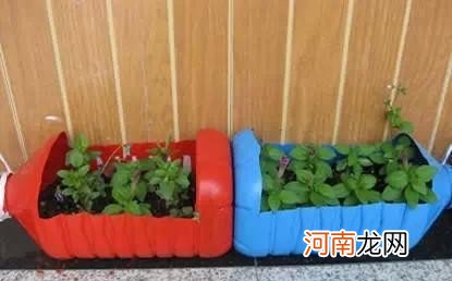 自制塑料花盆过程 自制塑料花盆方法及图片