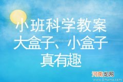 小班科学活动盒子里有什么教案反思