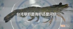 台湾草虾是海虾还是河虾