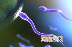 精子质量受到哪些不良习惯影响