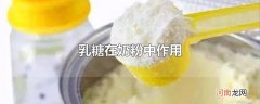 乳糖在奶粉中作用