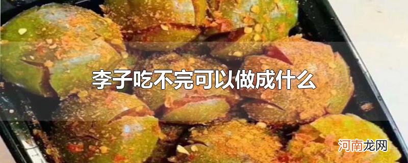 李子吃不完可以做成什么