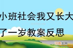 小班社会活动我会长大教案反思