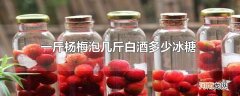 一斤杨梅泡几斤白酒多少冰糖