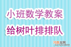 小班数学活动小树叶找妈妈教案反思