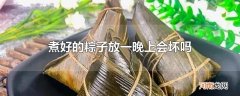 煮好的粽子放一晚上会坏吗