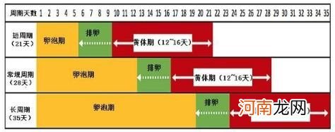 怀孕多少天从哪天开始算 如何计算怀孕时间最为准确