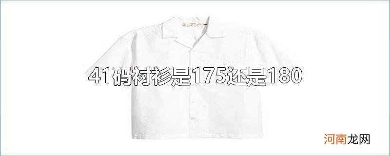 41码衬衫是175还是180