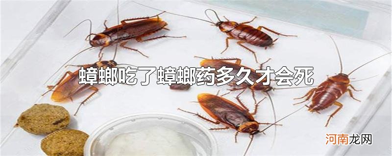 蟑螂吃了蟑螂药多久才会死