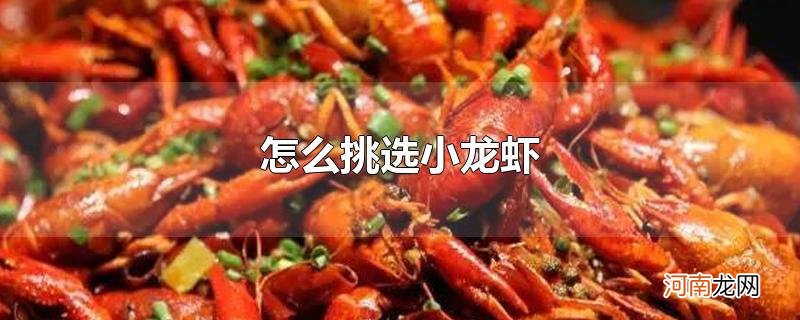 怎么挑选小龙虾