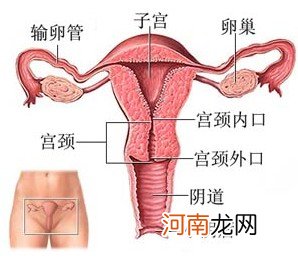 炎炎夏日 赶走阴道炎的困扰