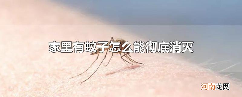 家里有蚊子怎么能彻底消灭