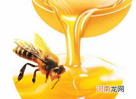 备孕须知：4大食物可提高受孕机率