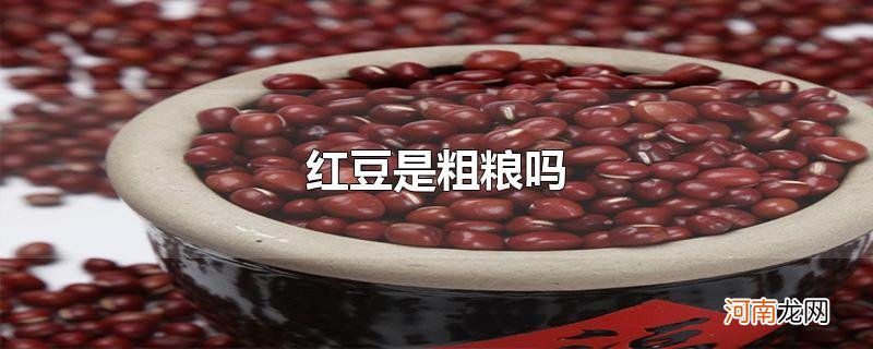 红豆是粗粮吗