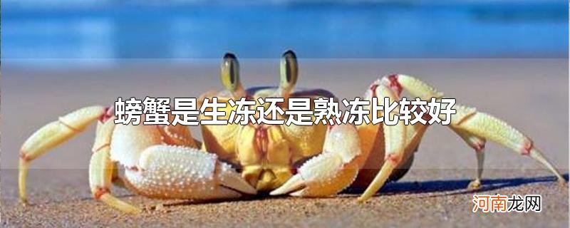 螃蟹是生冻还是熟冻比较好