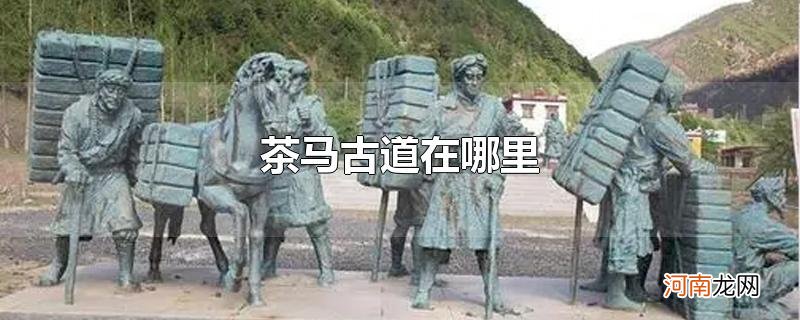 茶马古道在哪里