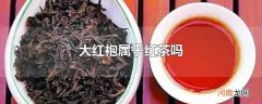 大红袍属于红茶吗
