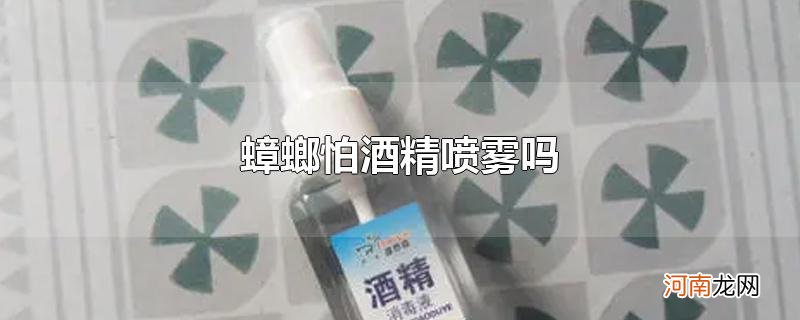 蟑螂怕酒精喷雾吗