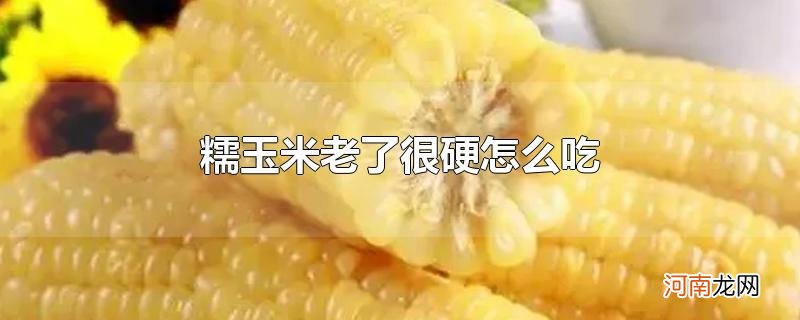 糯玉米老了很硬怎么吃