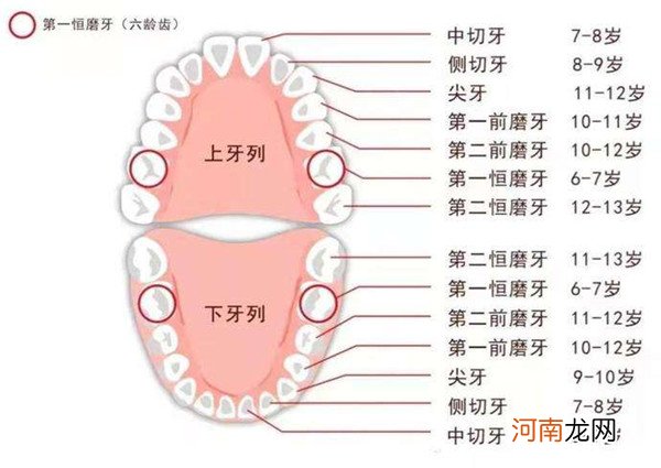 宝宝一般几岁开始换牙 5周岁换牙会不会太早？