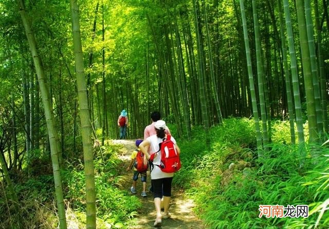 适合亲子的从化乡野一日游攻略 从化一日游旅游攻略