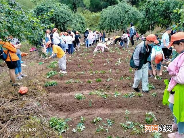 适合亲子的从化乡野一日游攻略 从化一日游旅游攻略