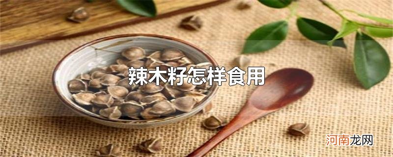 辣木籽怎样食用