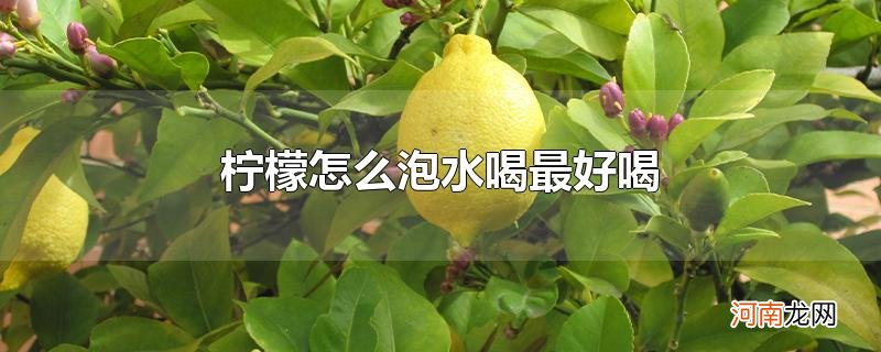 柠檬怎么泡水喝最好喝